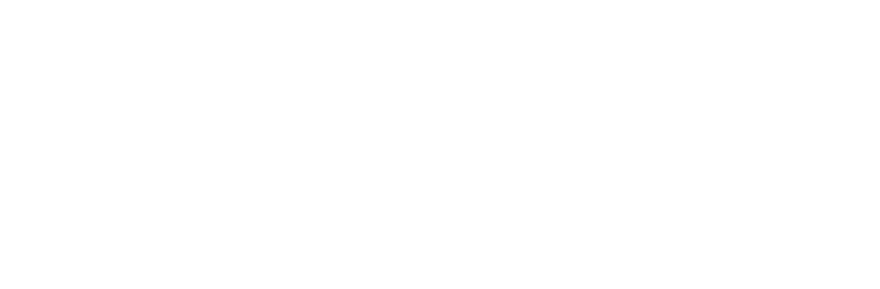 Fidel Foundation
